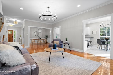 914 Olsen Ave, Signal Mountain, TN 37377 - photo 3