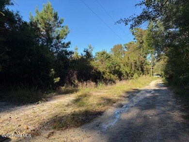 0 Knight Way SE unit 100542829, Winnabow, NC 28479 - photo 3