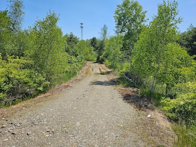 M5, L87-1 Main St, Palmyra, ME 04965 - photo 4
