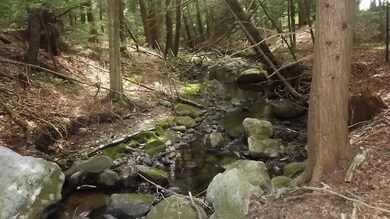 brook on property