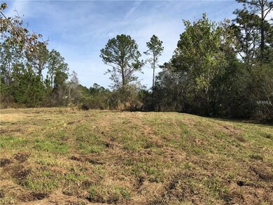 4670 Kola Rd, New Smyrna Beach, FL 32168 - photo 4