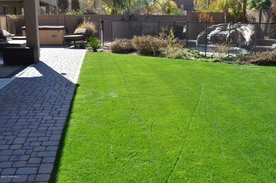 Back Yard Grass