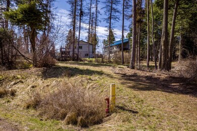 14357 Forest Dr, Bigfork, MT 59911 - photo 5