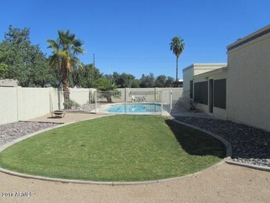 Yard & Pool