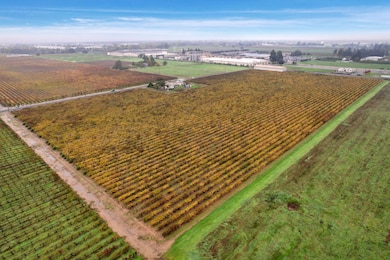 6233 E Woodbridge Rd, Acampo, CA 95220 - photo 5