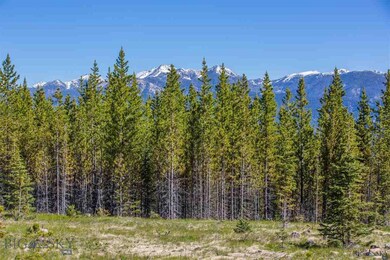 13 Trophy Bull Road Rd, Big Sky, MT 59716 - photo 4