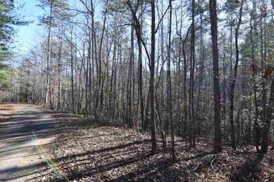 00 Watermelon Way unit Lot F, Tamassee, SC 29686 - photo 4