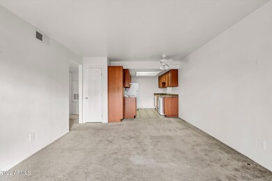 3-web-or-mls-_DSC8453