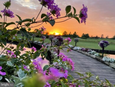 24976 Pot Bunker Way unit 3704, Millsboro, DE 19966 - photo 4