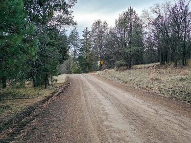 0 Log House Rd, MacDoel, CA 96058 - photo 5