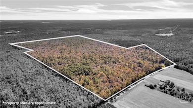 215 Herbert Kessler Rd, Guyton, GA 31312 - photo 2