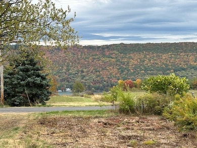 10645 Cross St, Hammondsport, NY 14840 - photo 3