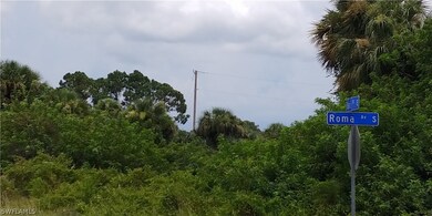 734 Roma Ave S, Lehigh Acres, FL 33974 - photo 3