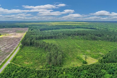 DJI_0624
