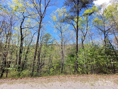Lot 21 Little Fox Run, North Cove, NC 28752 - photo 2