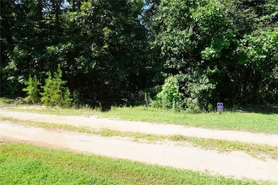 2899 Golden Bell Ln, Hudson, NC 28638 - photo 7