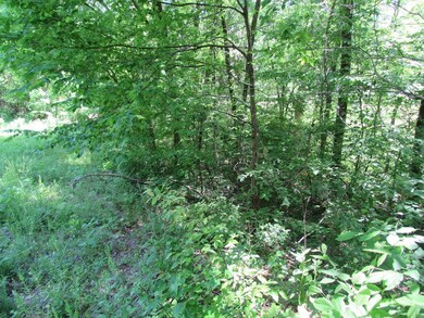 1890 Mayberry Prong Rd, Linden, TN 37096 - photo 4