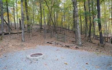 341 25th St, Ellijay, GA 30540 - photo 6