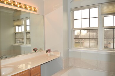 2019 Tamahawk Ln unit 2019, Naperville, IL 60564 - photo 6