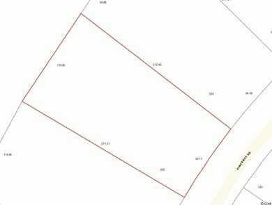 55 Pinckney Rd unit Lot 205 Pinckney Roa, Georgetown, SC 29440 - photo 4