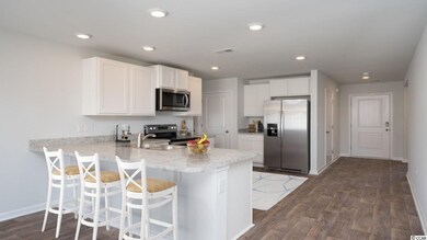 149 Spring Wheat Way unit Lot 162- Macon A, Conway, SC 29527 - photo 4