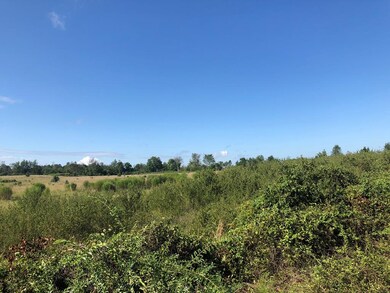 0 Gordon Hwy unit 437999, Harlem, GA 30814 - photo 4