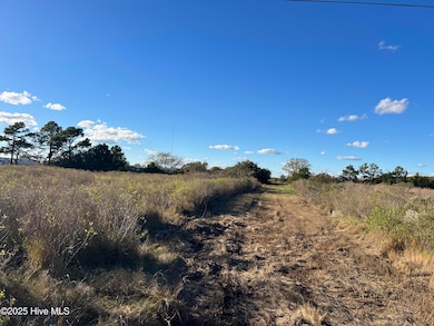 1507 White Plains Rd, Engelhard, NC 27824 - photo 7