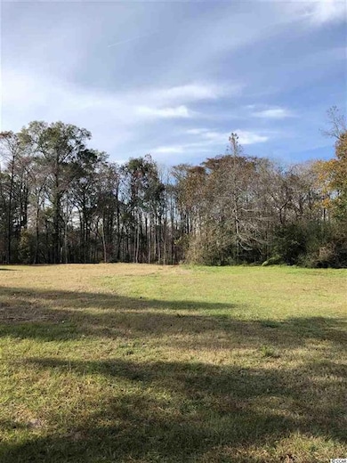 10A Bear Bluff Dr, Conway, SC 29526 - photo 2