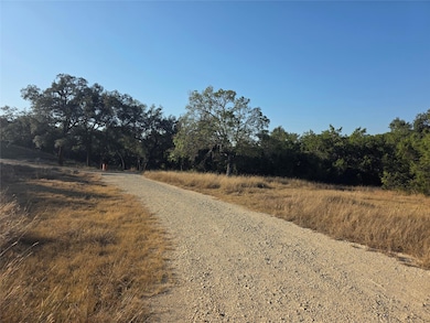 201 Sycamore Valley Rd, Dripping Springs, TX 78620 - photo 4