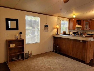 554 Blue Jay Ct, Granbury, TX 76049 - photo 4