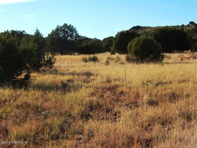 Simonsen vacant land pictures 005