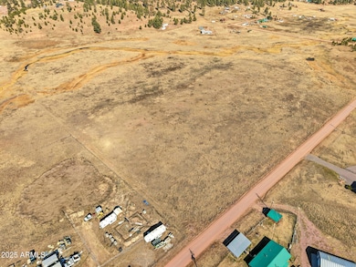 Lot 23 the Ranch at Alpine -- unit 23, Alpine, AZ 85920 - photo 2