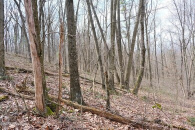 530 Tall Oak Ln, Lewisburg, PA 17837 - photo 5