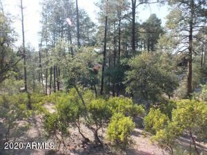 Tall Pines on Lot