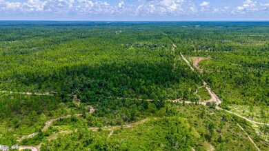 DJI_20240731121403_0073_D_HDR