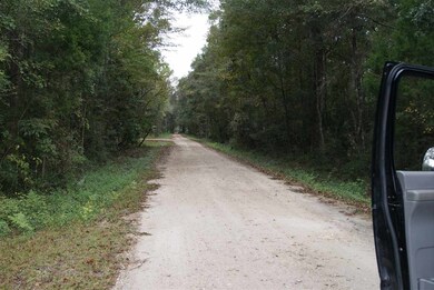 0 Owl Ln unit 1 287430, Wakulla, FL 32327 - photo 5