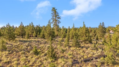 60220 Horse Butte Rd, Bend, OR 97702 - photo 3