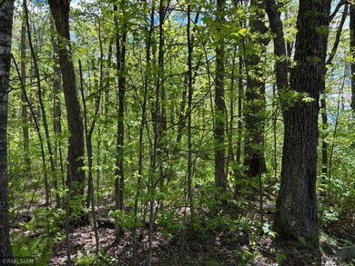 23122 435th St, McGregor, MN 55760 - photo 3