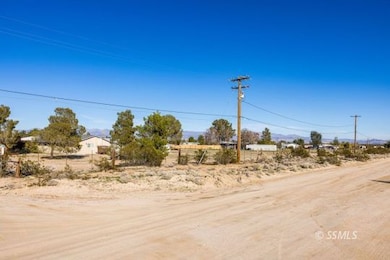 3322 Argo St, Inyokern, CA 93527 - photo 4