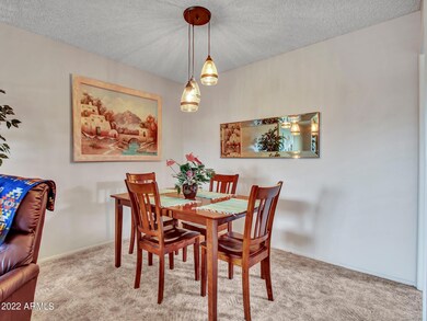 10859 W Santa fe Dr unit 6, Sun City, AZ 85351 - photo 6