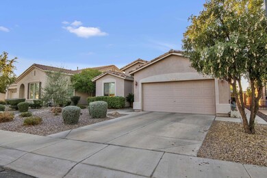 4503 E Sycamore Dr, Gilbert, AZ 85298 - photo 3