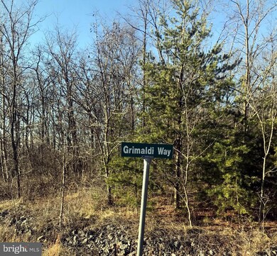 Lot 55 Grimaldi Way, Hedgesville, WV 25427 - photo 5