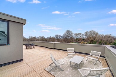 1213 E 36th St, Charlotte, NC 28205 - photo 5