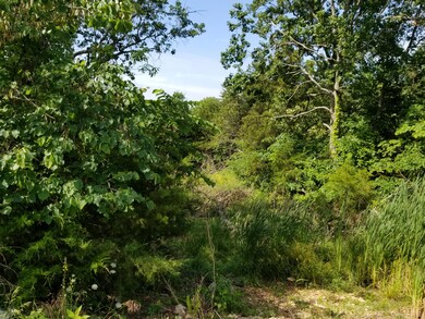 Tbd Lot 40 Summer Rd, Ruth B Rural Township, MO 65686 - photo 6