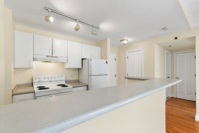 The Charlesview unit 302, Boston, MA 02215 - photo 6