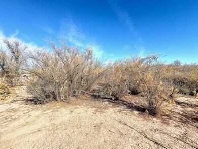 2811 Harold Place, Mohave Valley, AZ 86440 - photo 3