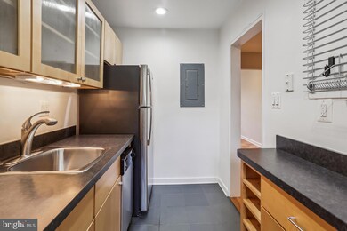 2221 Washington Ave unit 101, Silver Spring, MD 20910 - photo 6