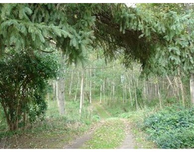 138 Route 6a, Yarmouth Port, MA 02675 - photo 2