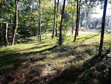 295 Falls Creek Way, Somerset, KY 42503 - photo 4