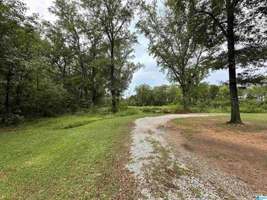 170 McCalla Rd, Bessemer, AL 35022 - photo 3